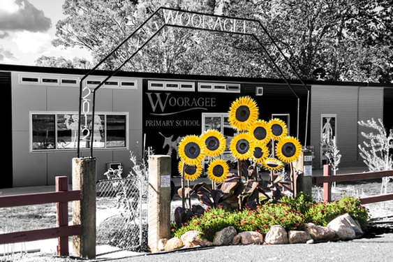 An Interesting GatePhotography by David Willis